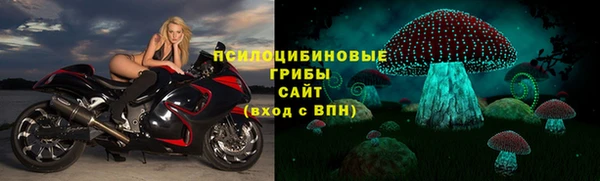 гидра Баксан