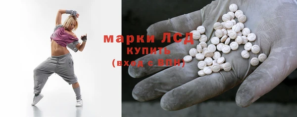сатива Балахна