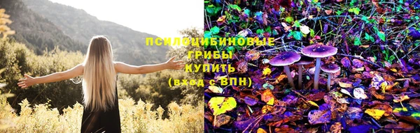 гидра Баксан