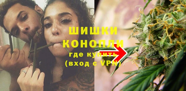 сатива Балахна