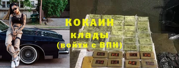 сатива Балахна