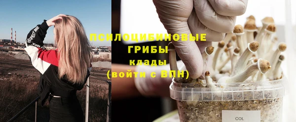 сатива Балахна