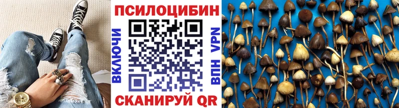 Галлюциногенные грибы Cubensis  mega ссылки  сайты даркнета официальный сайт  Козьмодемьянск 